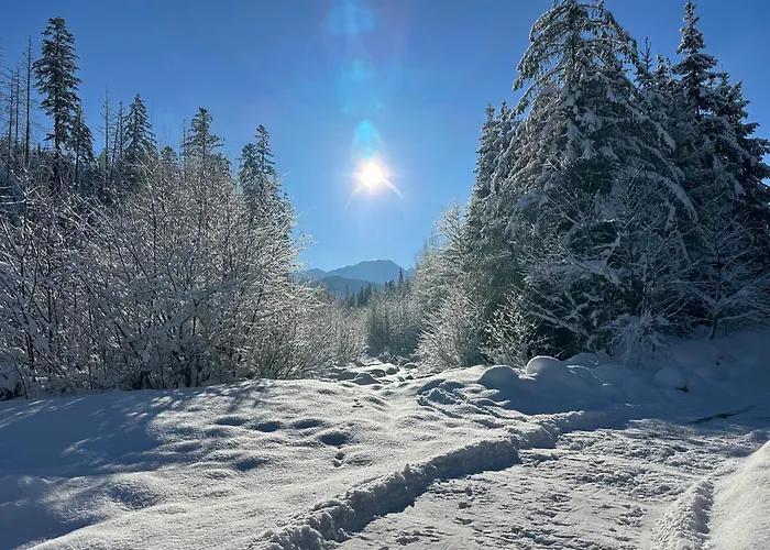 Gosciniec Nad Sucha Woda